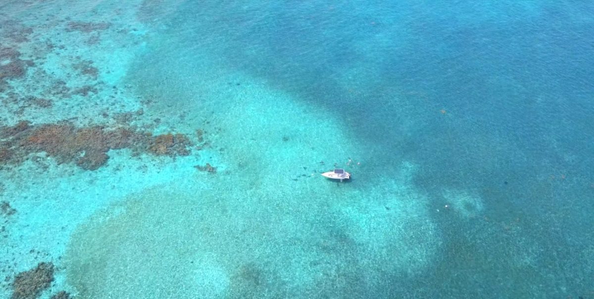 Hol Chan Marine Reserve