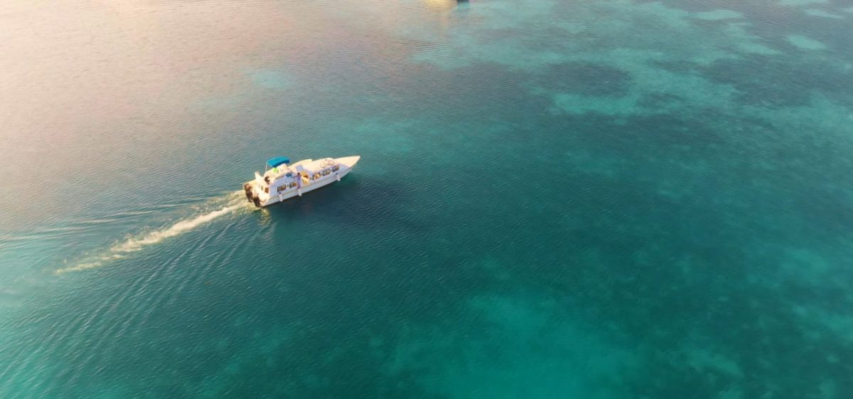 Blue Hole boat tours depart early from San Pedro