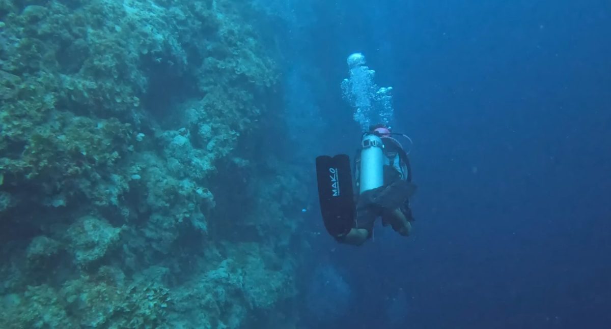 Divers exploring the famous Blue Hole dive site
